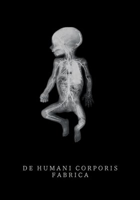 DE HUMANI CORPORIS FABRICA