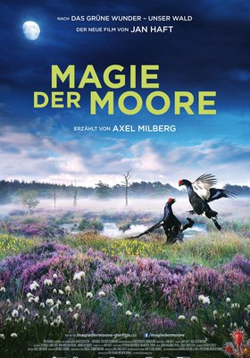 Magie der Moore Magie der Moore
