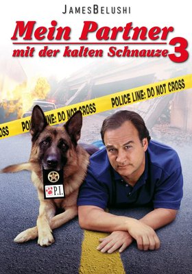 Mein Partner mit der kalten Schnauze 3