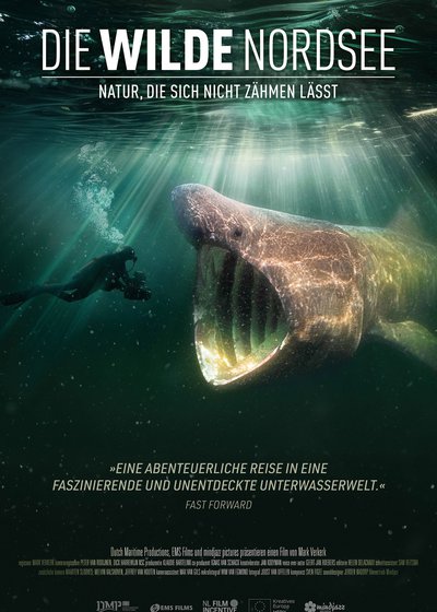 wilde Nordsee - Natur, die sich nicht zähmen lässt, DieHolländisch (OmU)