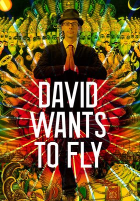 David wants to fly