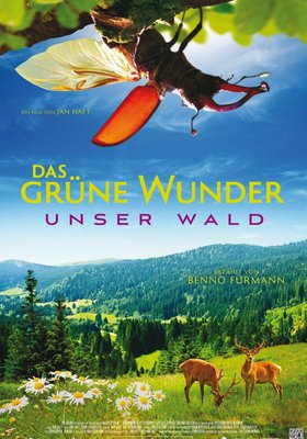 Das grüne Wunder - Unser Wald Das grüne Wunder - Unser Wald