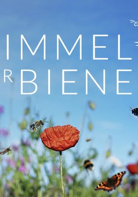Ein Himmel voller Bienen Ein Himmel voller Bienen