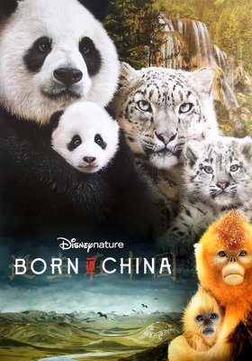 Born in China Born in China