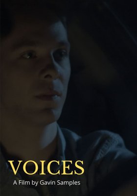 Voices: Neue Stimmen aus Zentralasien