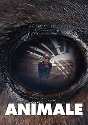 Animale Animale