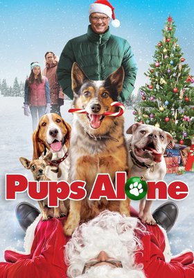 Hunde - Allein zu Haus