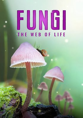 Fungi: Web of Life
