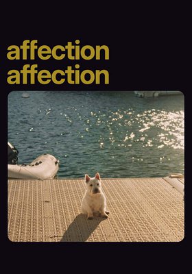 Affection Affection
