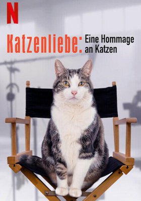 Katzenliebe: Eine Hommage an Katzen