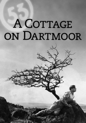 A Cottage on Dartmoor