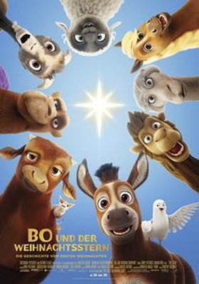 Bo und der Weihnachtsstern Bo und der Weihnachtsstern