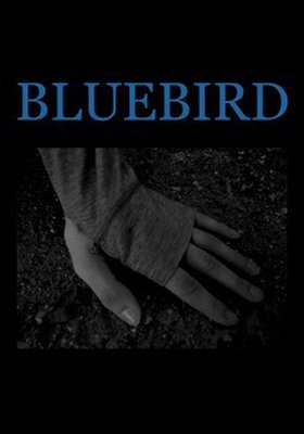 BLUEBIRD