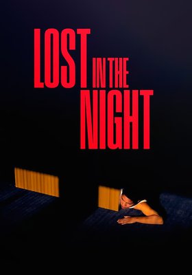 LOST IN THE NIGHT