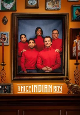 A Nice Indian Boy