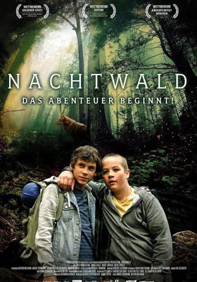 Nachtwald - Das Abenteuer beginnt!