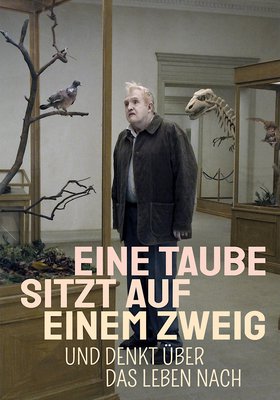 Eine Taube sitzt auf einem Zweig und denkt über das Leben nach