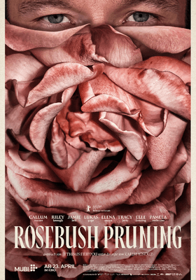 Rosebush Pruning