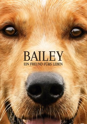 Bailey - Ein Freund fürs Leben Bailey - Ein Freund fürs Leben