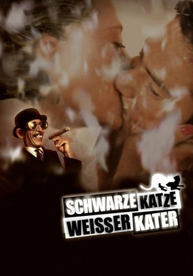 Schwarze Katze weißer Kater