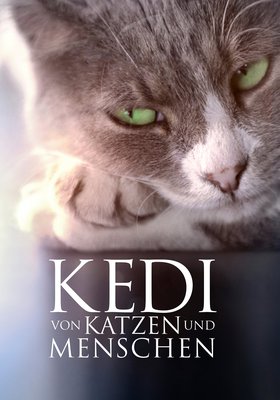KEDI - VON KATZEN UND MENSCHEN
