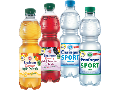 Ensinger