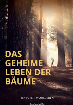 Das geheime Leben der Bäume Das geheime Leben der Bäume