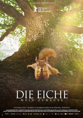 Die Eiche - Mein Zuhause