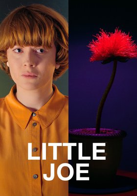 Little Joe - Glück ist ein Geschäft