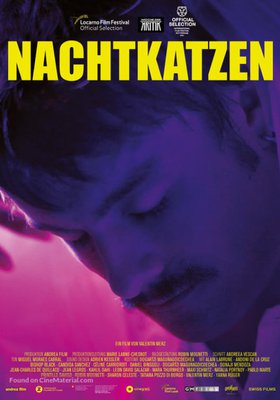 Nachtkatzen