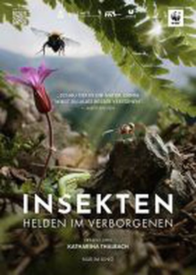 Insekten - Helden im Verborgenen – Gloria & Gloriette, 27.07.2026