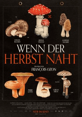 Wenn der Herbst naht - Inkl. Weinprobe in Tübingen