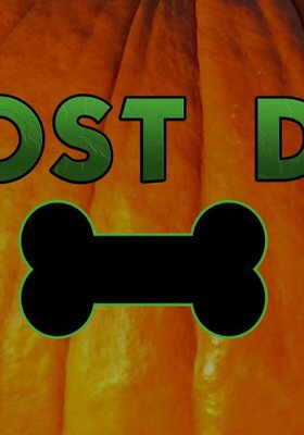 GHOST DOG GHOST DOG