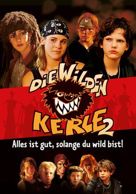 Die Wilden Kerle 2