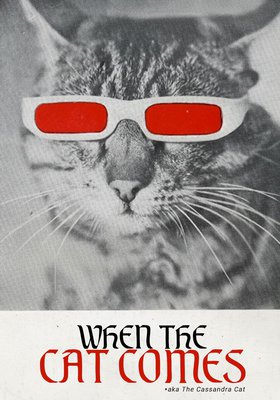 Wenn der Kater kommt