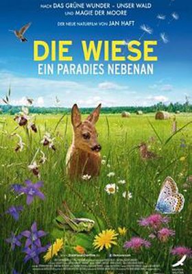 Die Wiese - Ein Paradies nebenan Die Wiese - Ein Paradies nebenan