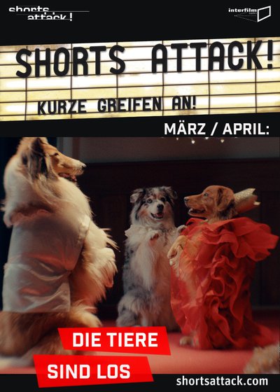 Shorts Attack 2026 - April: Die Tiere sind los (Specials, OmU) – Gloria & Gloriette, 26.04.2026