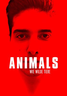Animals - Wie wilde Tiere Animals - Wie wilde Tiere