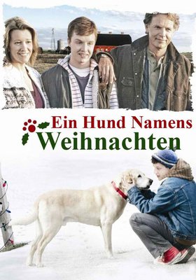 Ein Hund namens Weihnachten