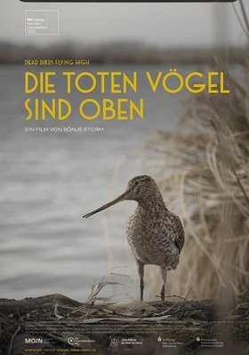 Die toten Vögel sind oben