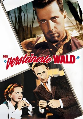 Der versteinerte Wald