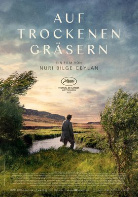 Auf Trockenen Gräsern