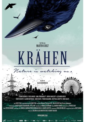 Krähen – Nature Is Watching Us