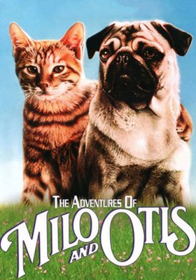 Miez und Mops - Zwei tierische Freunde