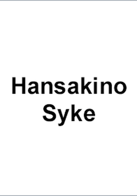 Hansa Kino Syke