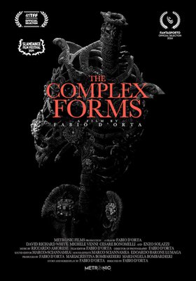 Weird Xperience: The Complex Forms