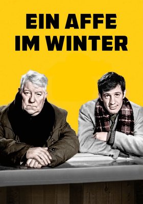 Ein Affe im Winter Ein Affe im Winter