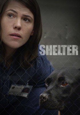Shelter (Kurzfilm 2015)