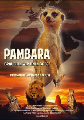 Pambara - Brauchen wir einen Boss?