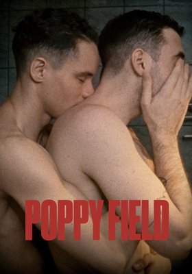 POPPY FIELD (